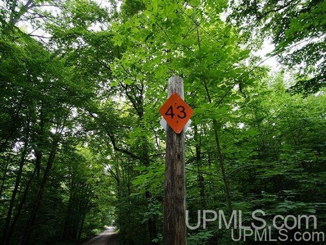 40-acres Co Rd 467 Germfask, MI 49836 - Photo 20 of 22