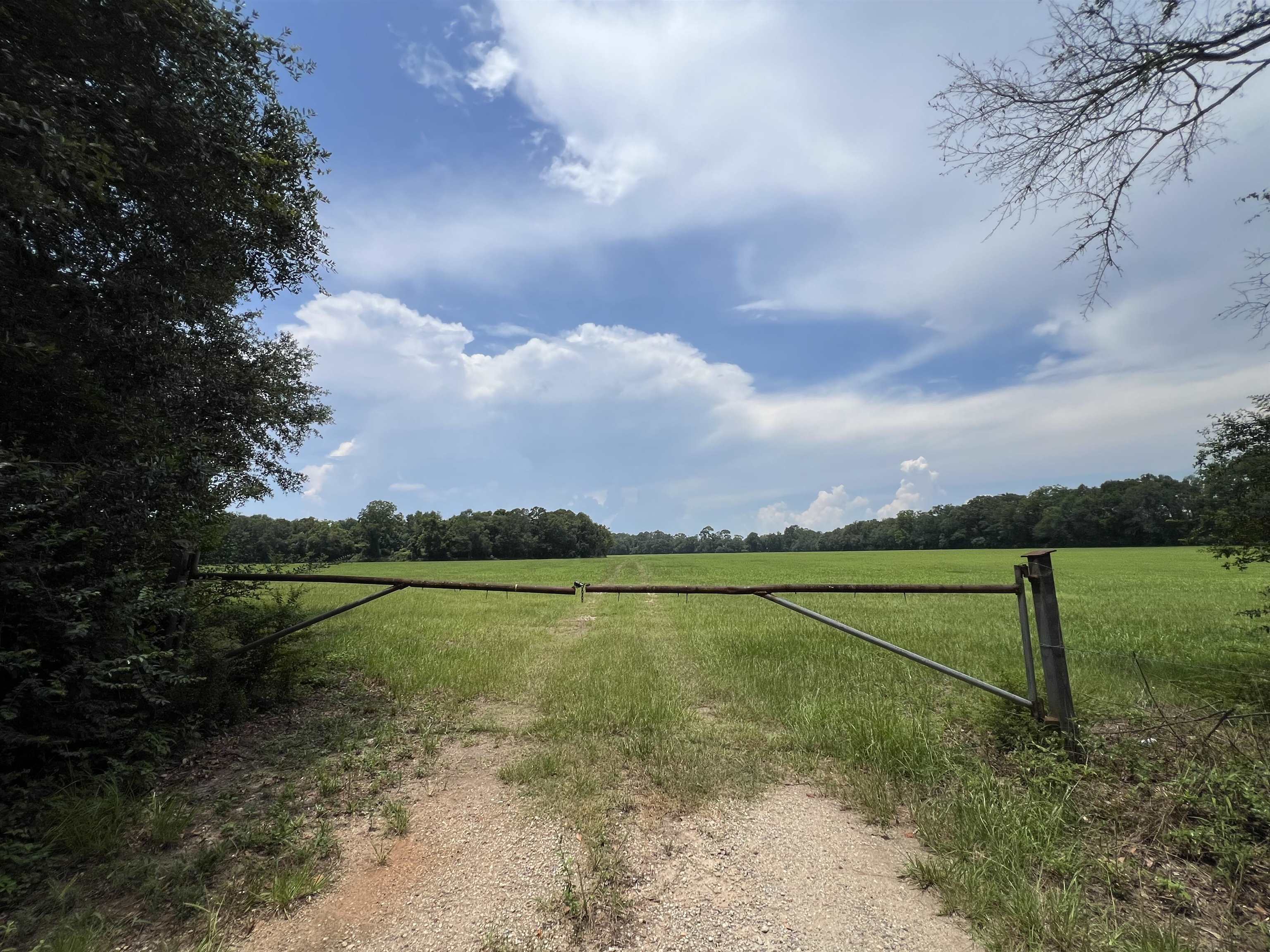 Xx Xx Max Herrin Road Quincy, FL 32352 - Photo 29 of 46