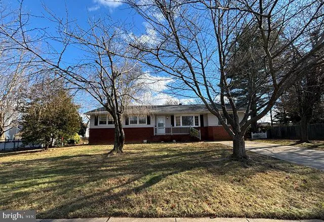 a tree in front of a white house