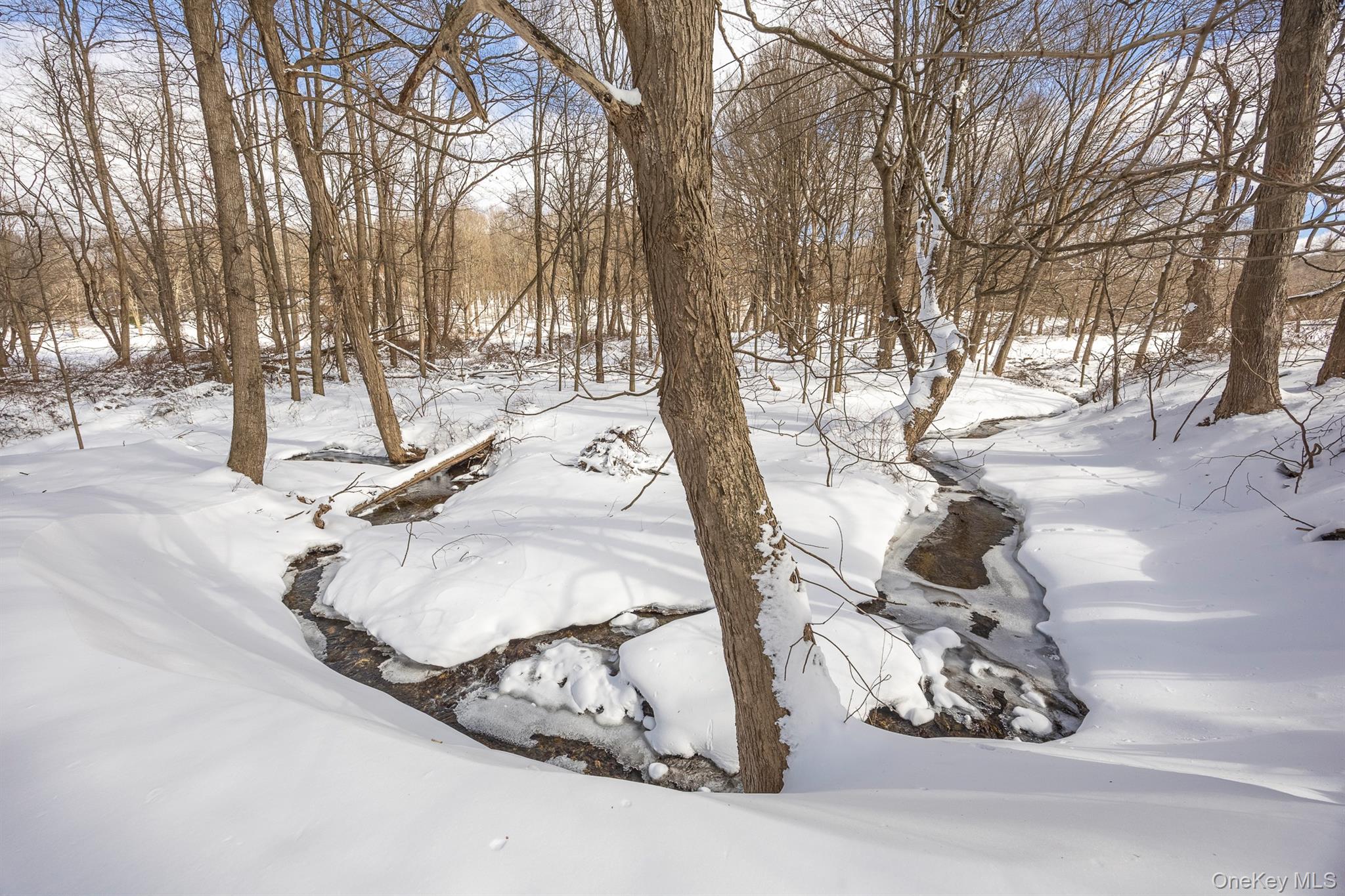 266 Layton Road Stanfordville, NY 12581 - Photo 24 of 26