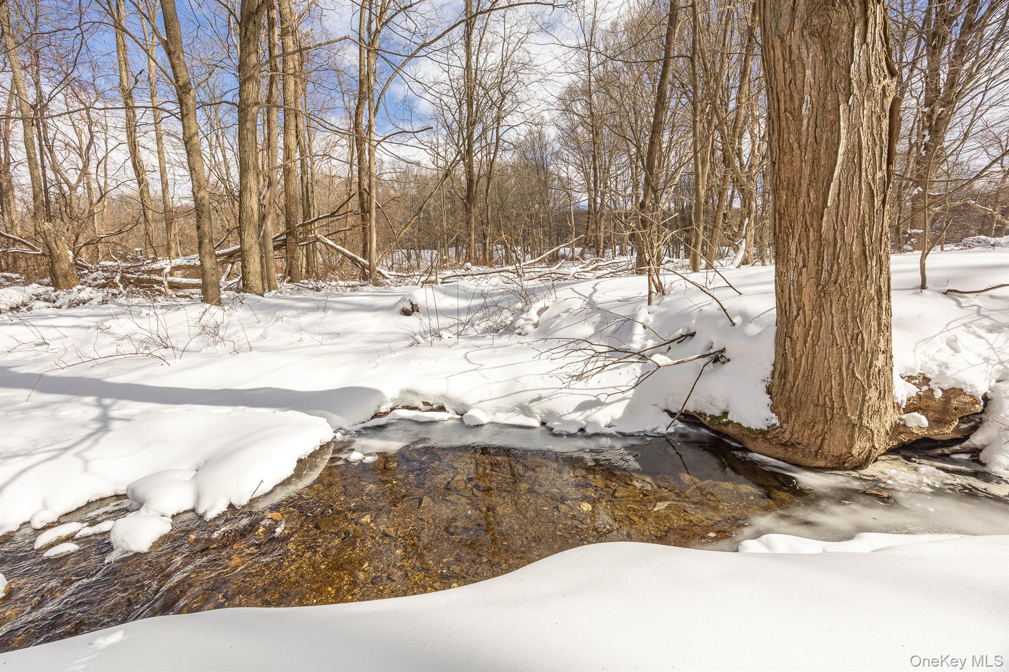 266 Layton Road Stanfordville, NY 12581 - Photo 25 of 26
