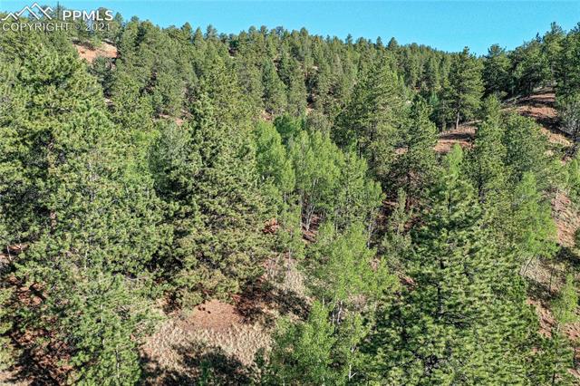 227 Beaver Pond Road Divide, CO 80814 - Photo 28 of 30 Gallery Image 28