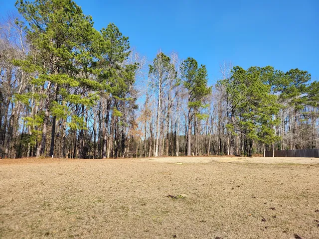 $59,500 | Lot 2 Santee Lumber Road, Santee, SC 29142
