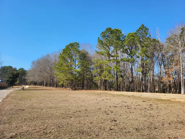 $59,500 | Lot 2 Santee Lumber Road, Santee, SC 29142