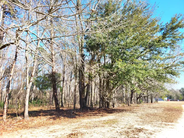 $59,500 | Lot 2 Santee Lumber Road, Santee, SC 29142