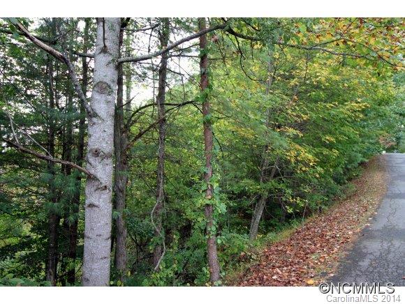 40 High Country Road, Unit 28 Weaverville, NC 28787 - Photo 4 of 24 Gallery Image 4