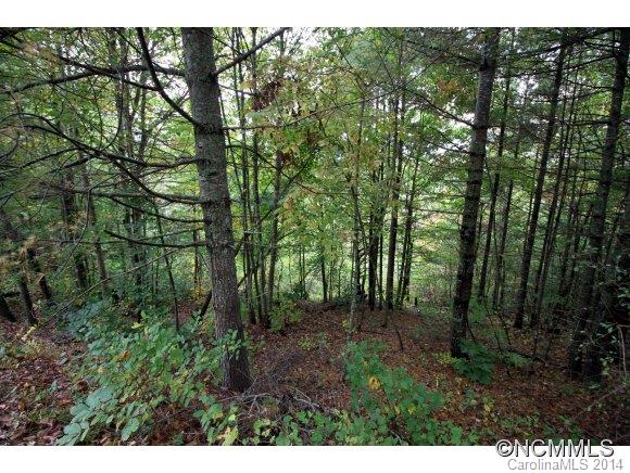40 High Country Road, Unit 28 Weaverville, NC 28787 - Photo 8 of 24 Gallery Image 8