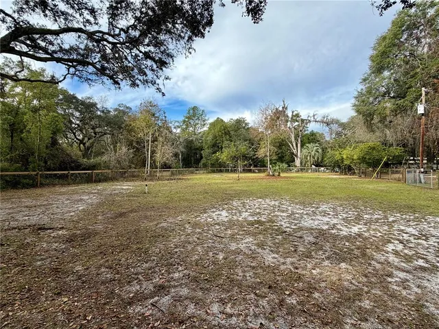 a view of a field with trees
