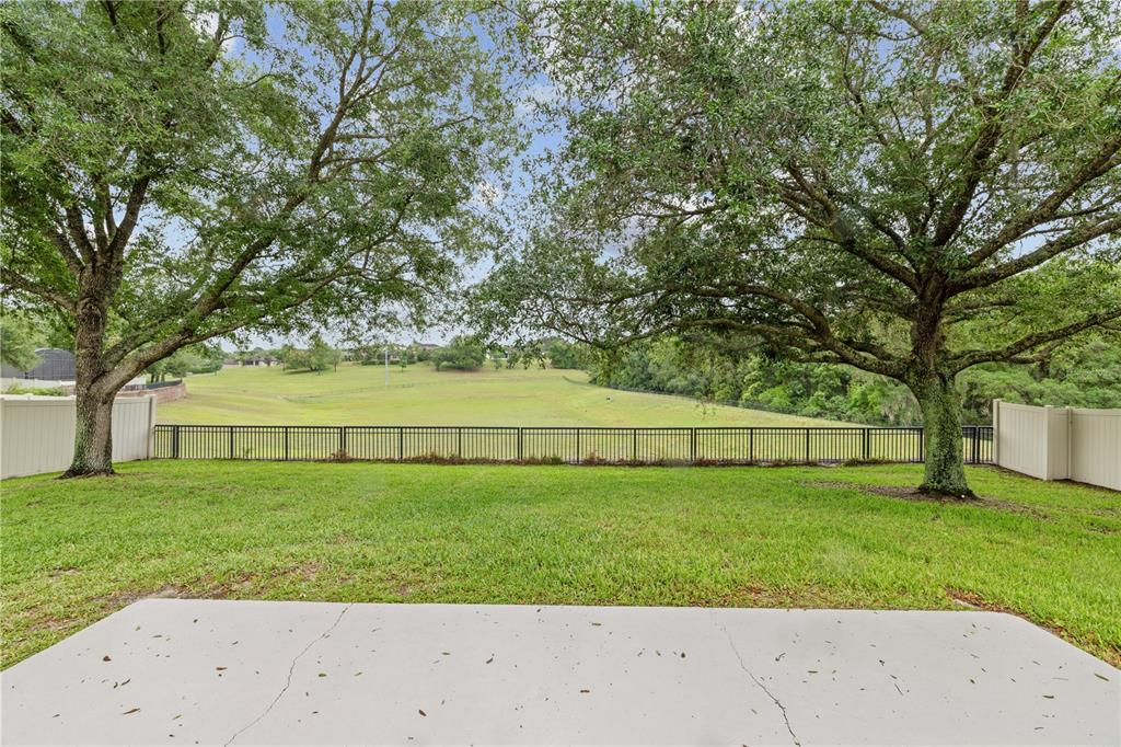 20926 Sullivan Ranch Boulevard Mount Dora, FL 32757 - Photo 31 of 48