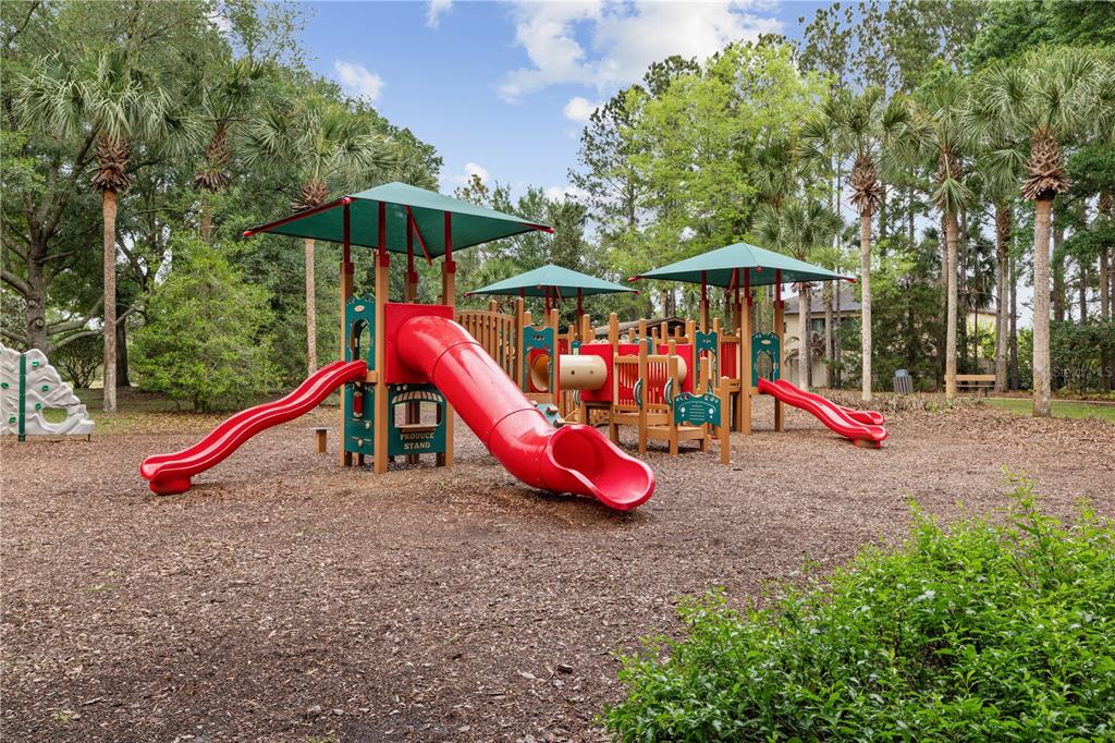 20926 Sullivan Ranch Boulevard Mount Dora, FL 32757 - Photo 44 of 48