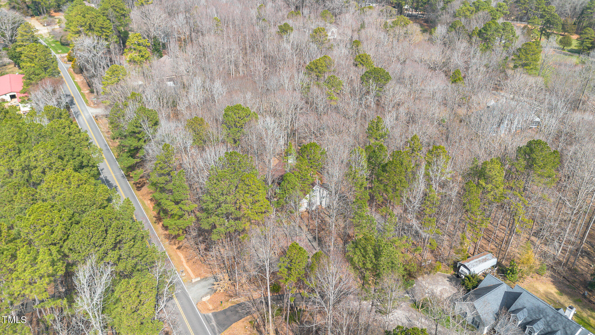 2308 Mt Vernon Church Road Raleigh, NC 27614 - Photo 51 of 59 a close up of a plant