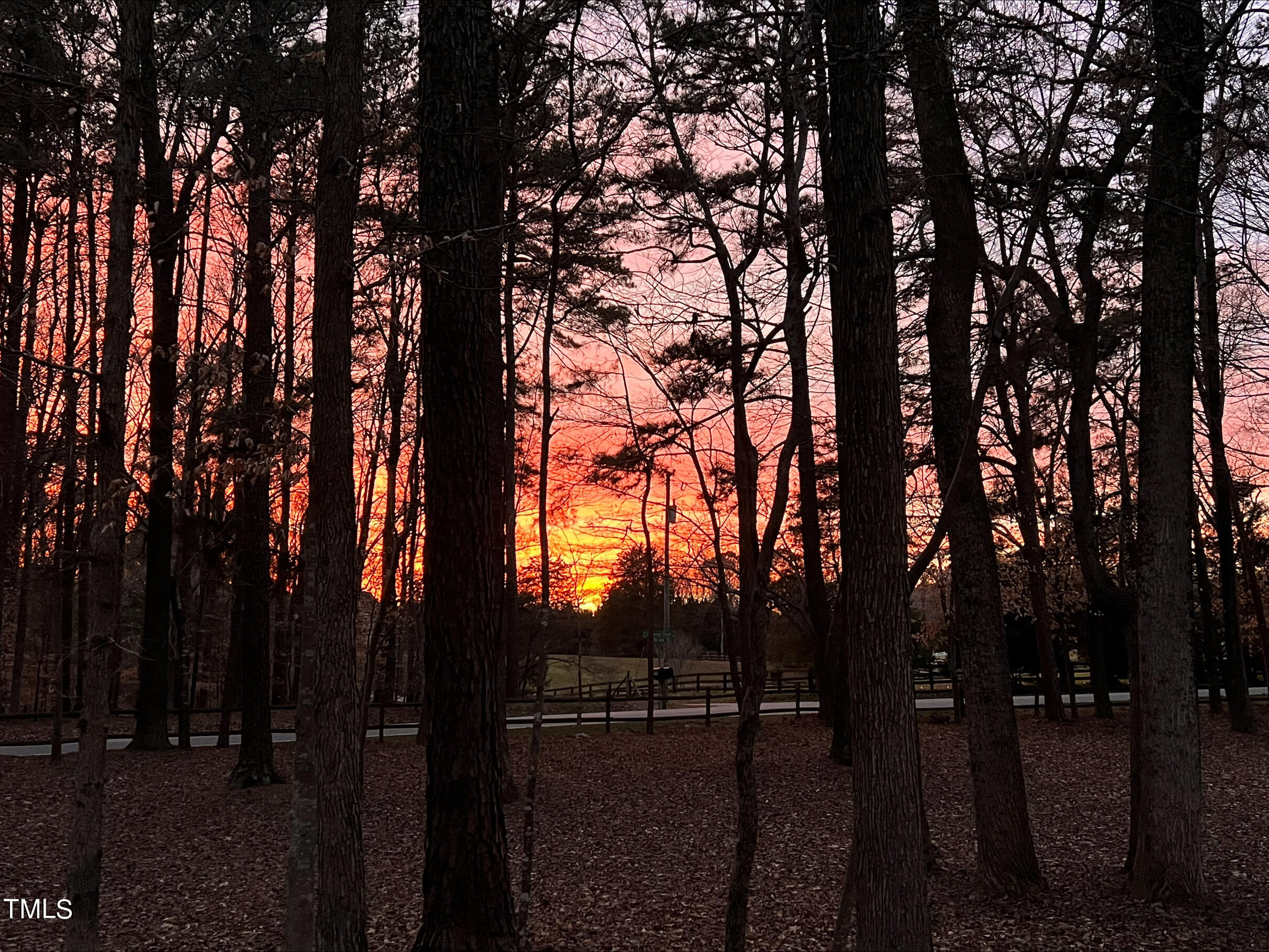 2308 Mt Vernon Church Road Raleigh, NC 27614 - Photo 54 of 59 a view of outdoor space with trees