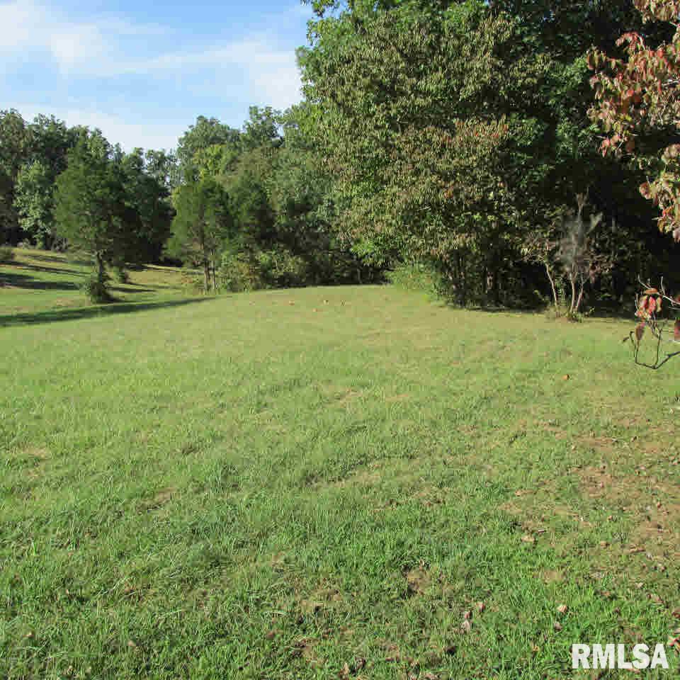 66 Rose Ford Road Golconda, IL 62938 - Photo 11 of 28 Gallery Image 11