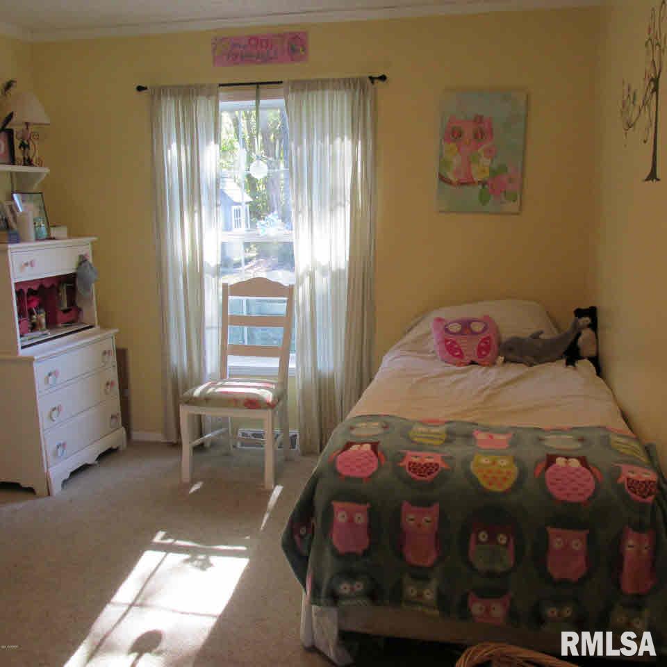 66 Rose Ford Road Golconda, IL 62938 - Photo 22 of 28 Gallery Image 22