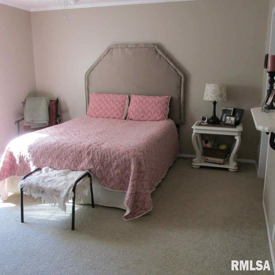 66 Rose Ford Road Golconda, IL 62938 - Photo 25 of 28 Gallery Image 25