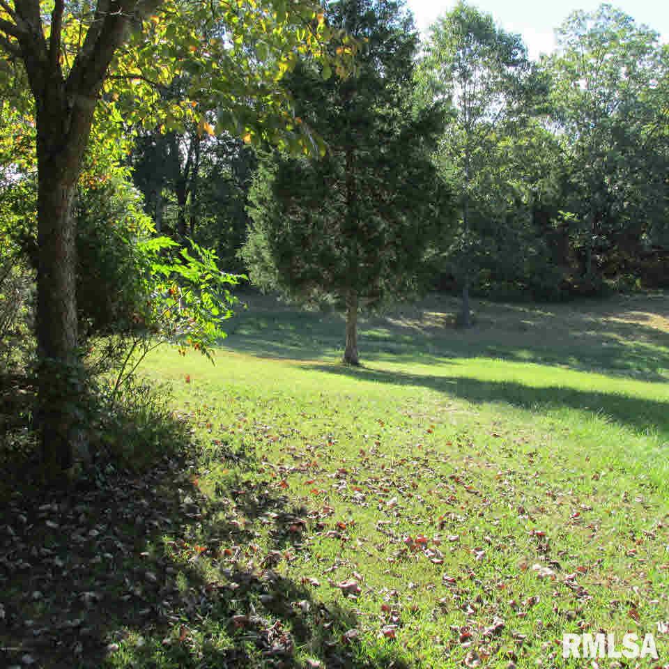 66 Rose Ford Road Golconda, IL 62938 - Photo 10 of 28 Gallery Image 10