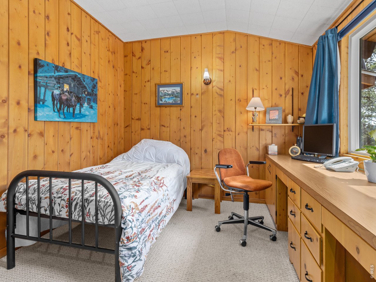839 Ski Road Allenspark, CO 80510 - Photo 30 of 47