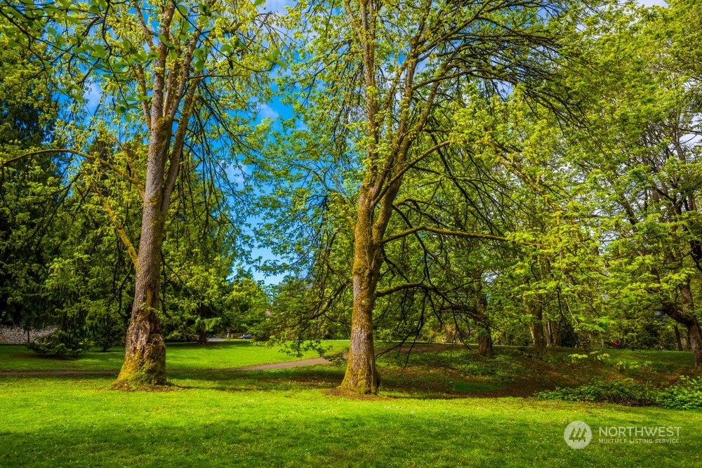 417 North 50th Street Seattle, WA 98103 - Photo 30 of 30 a view of yard with a big yard
