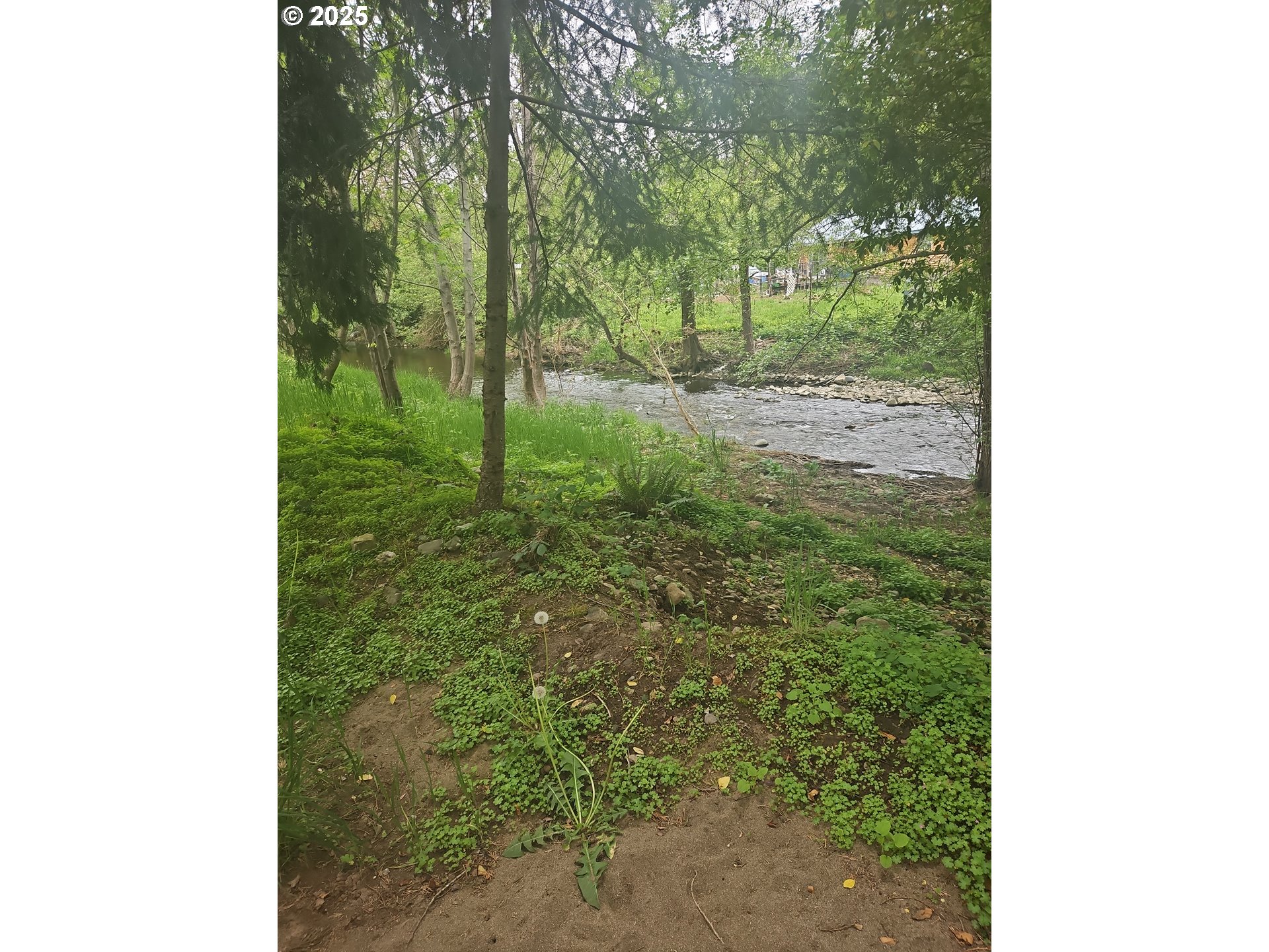 149 Beaver Lane Canyonville, OR 97417 - Photo 12 of 23