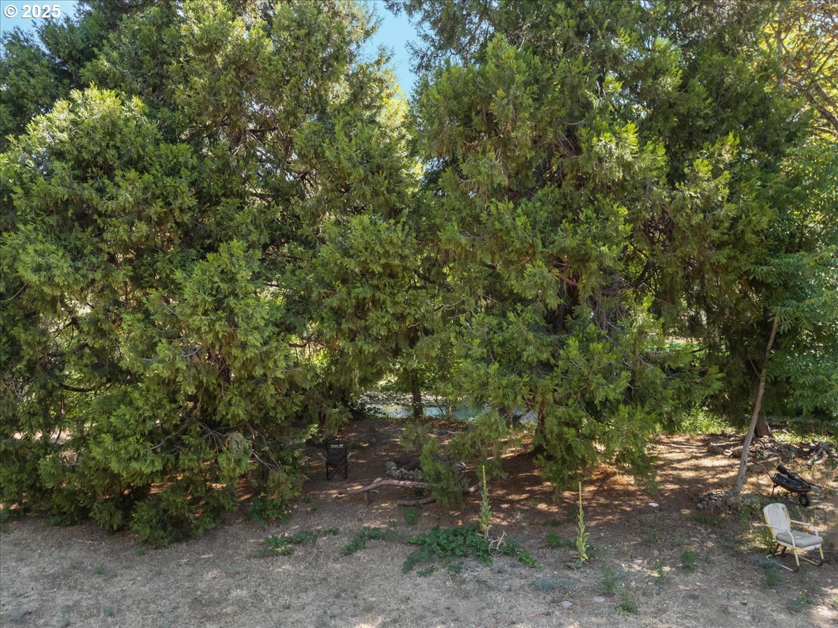 149 Beaver Lane Canyonville, OR 97417 - Photo 23 of 23