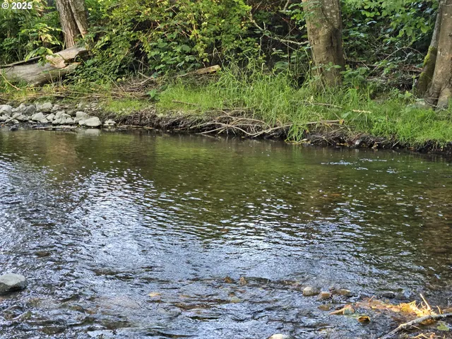 $198,000 | 149 Beaver Lane, Canyonville, OR 97417