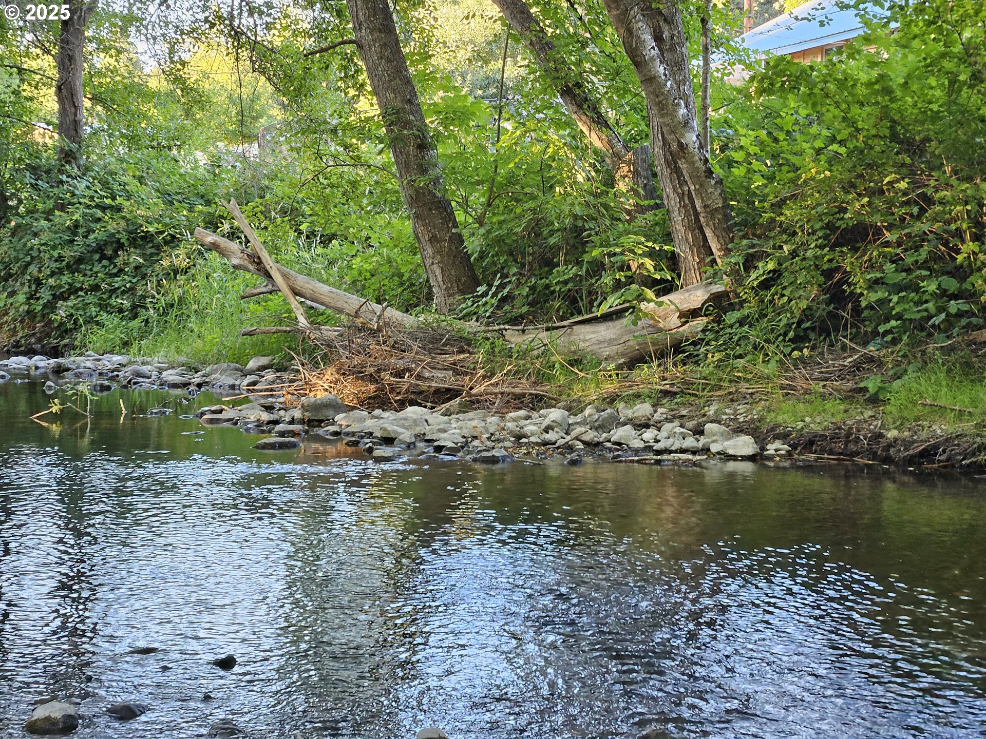 149 Beaver Lane Canyonville, OR 97417 - Photo 4 of 23