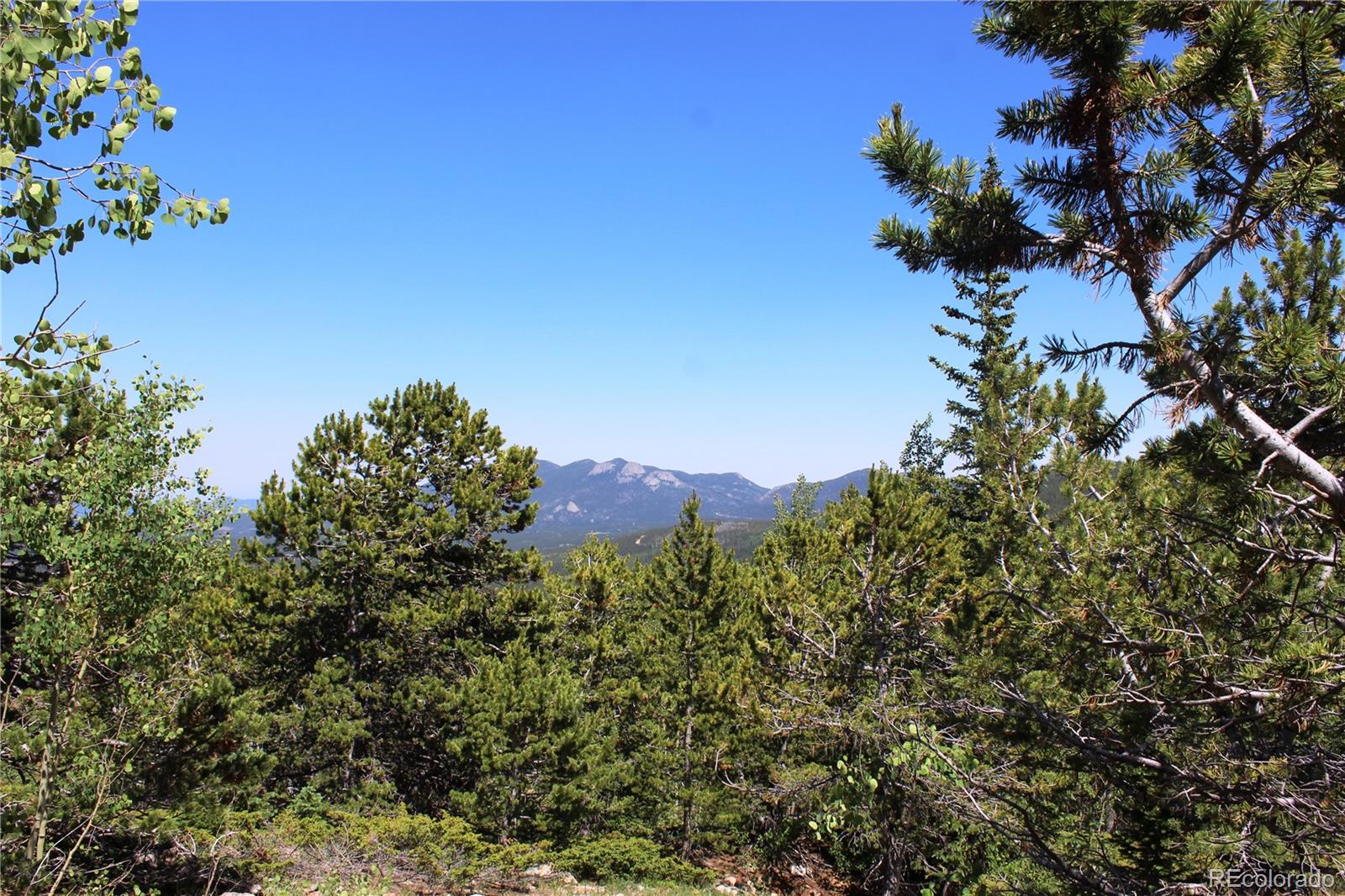 1595 Missouri Gulch Road Black Hawk, CO 80422 - Photo 44 of 49