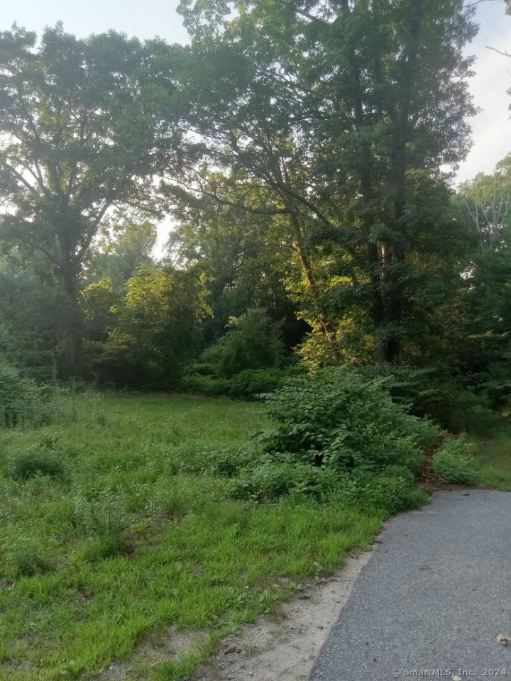 31 Old Mansfield Road Windham, CT 06280 - Photo 1 of 1