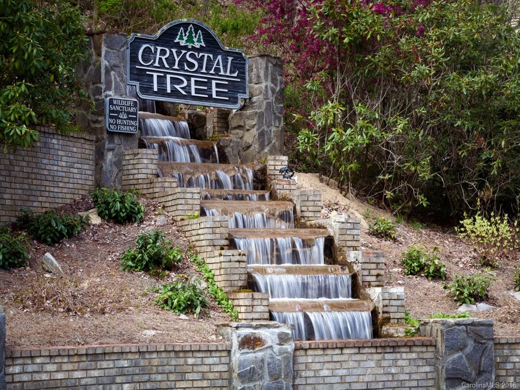 224 Divit Road Waynesville, NC 28785 - Photo 24 of 24 Gallery Image 24