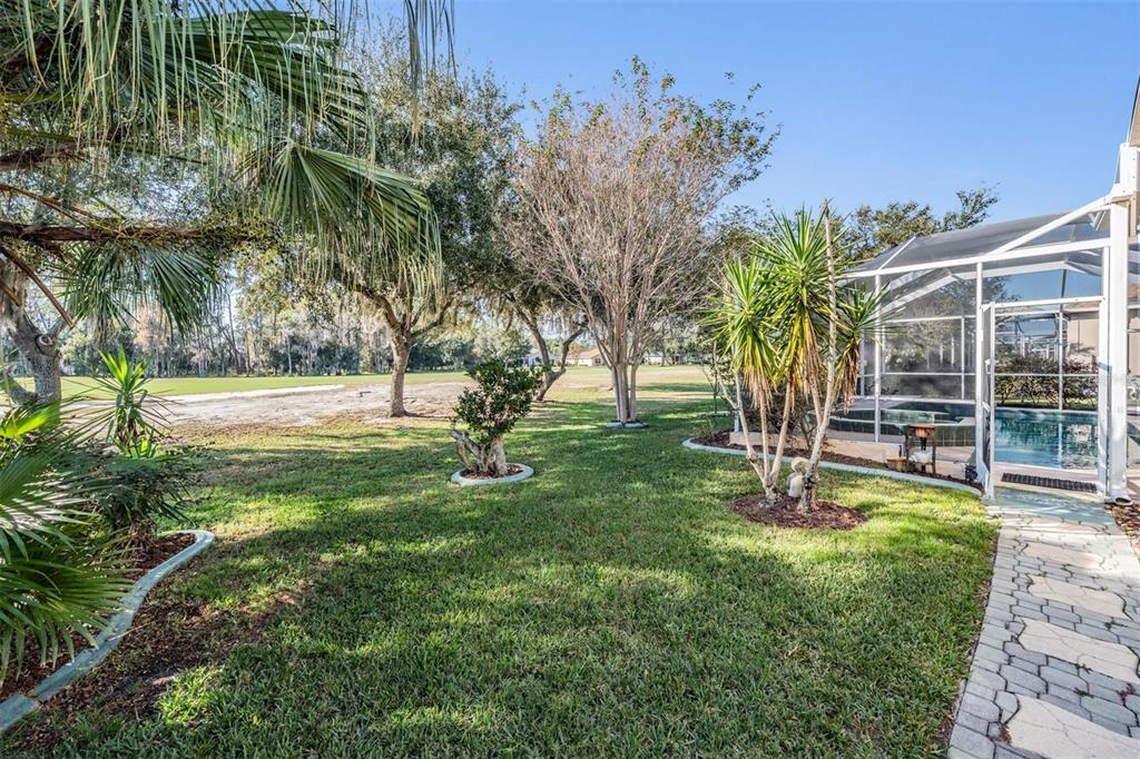 1331 Trimaran Place Trinity, FL 34655 - Photo 26 of 56