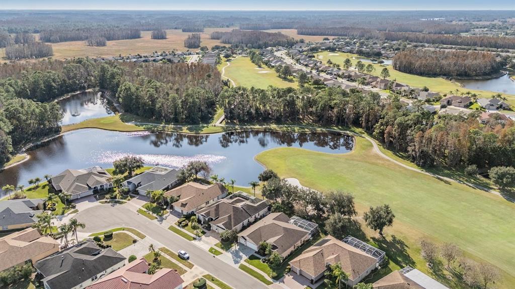 1331 Trimaran Place Trinity, FL 34655 - Photo 3 of 56