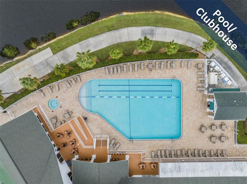 1331 Trimaran Place Trinity, FL 34655 - Photo 36 of 56