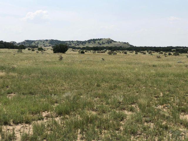 Lot 9 Long Horn Ranch Model, CO 81059 - Photo 1 of 12 Gallery Image 1
