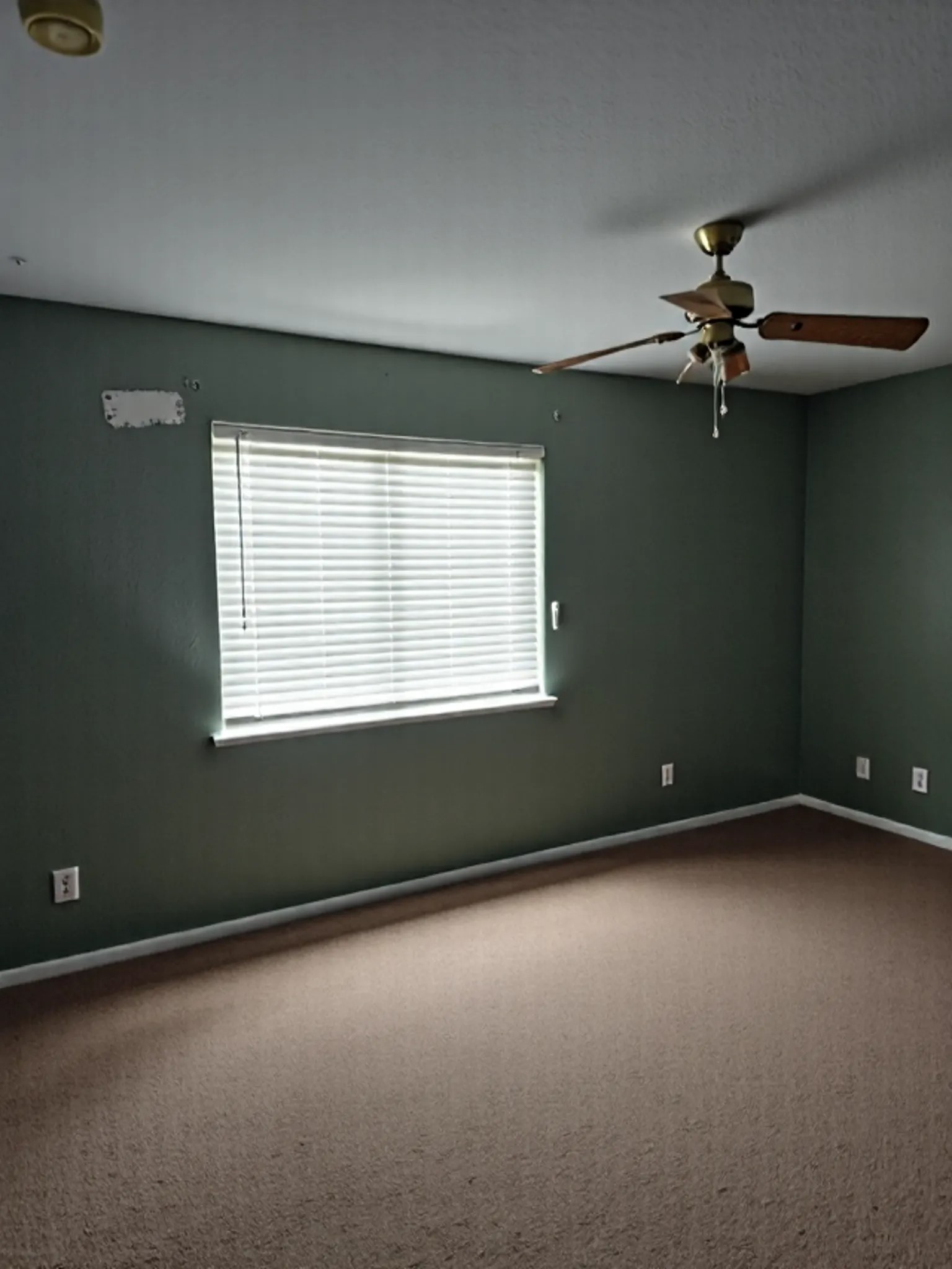 1015 Green Meadow Street Beaumont, TX 77706 - Photo 27 of 32 Another large bedroom with closet space too