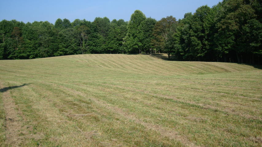 Lot #6 Mt View Estates Cool Ridge, WV 25825 - Photo 1 of 2 View of the Land