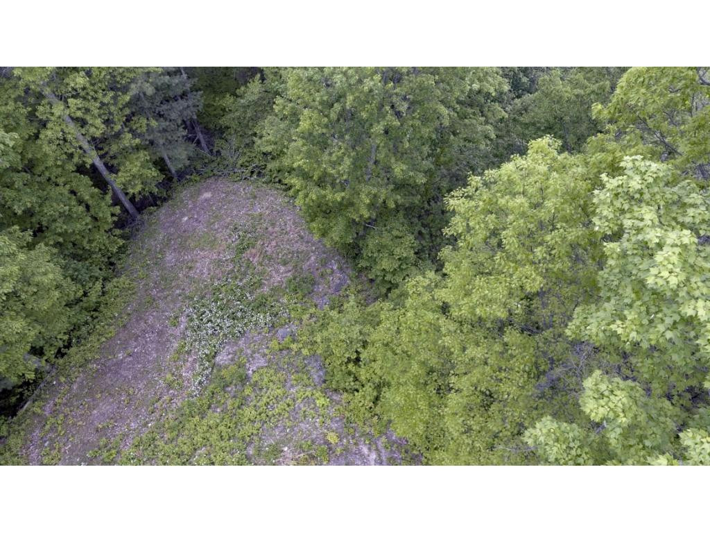 1005 Locust Lane, Unit 47 Butler, TN 37640 - Photo 2 of 10 Drone Shot