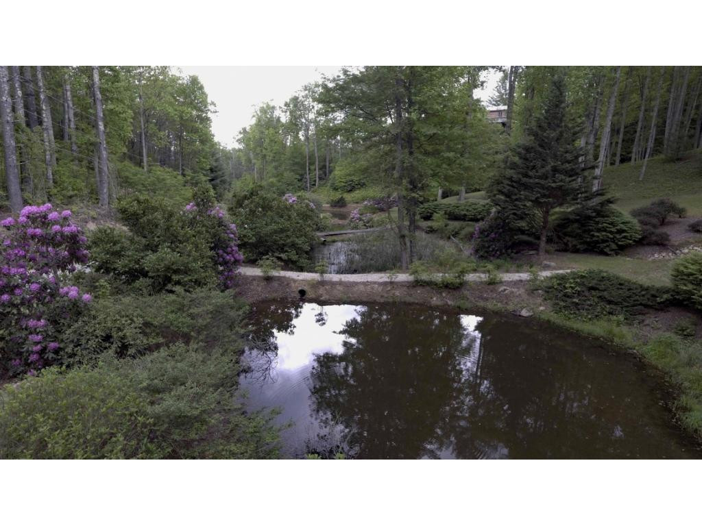 1005 Locust Lane, Unit 47 Butler, TN 37640 - Photo 6 of 10 Common Ponds