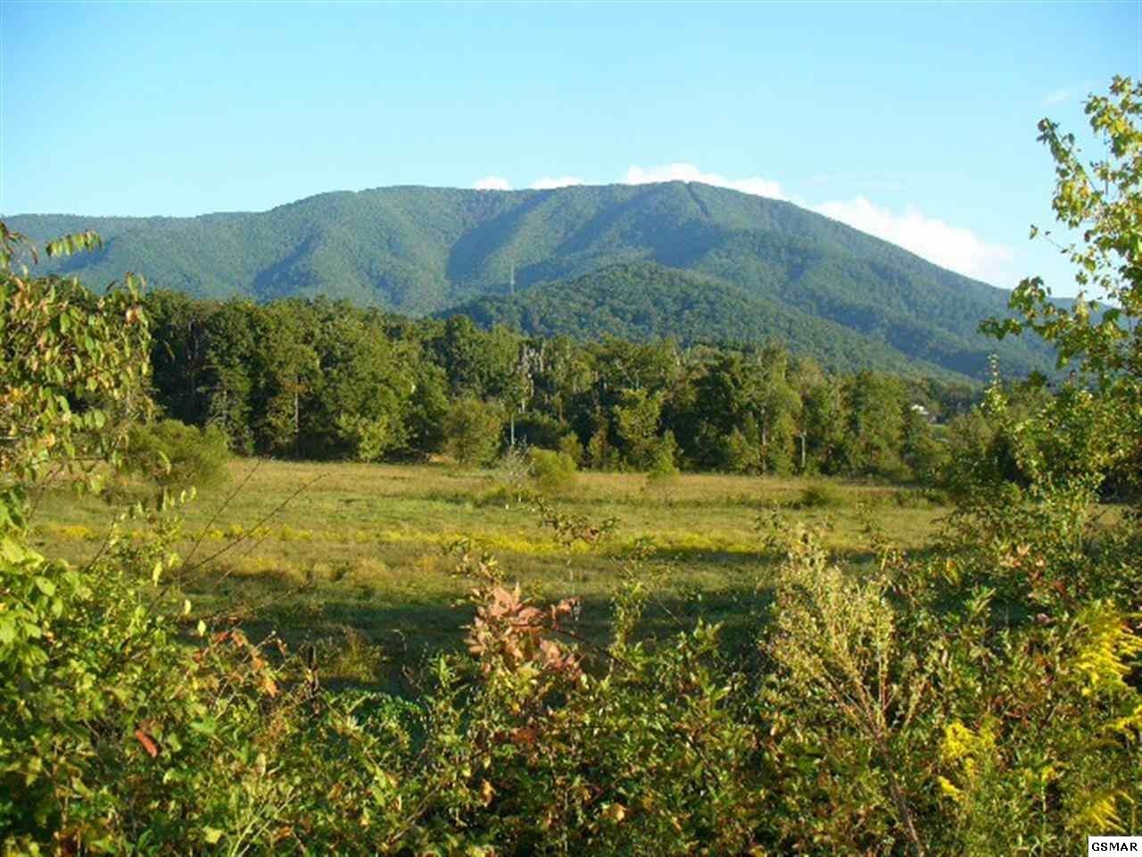 2 Wears Valley Road Sevierville, TN 37862 - Photo 5 of 14