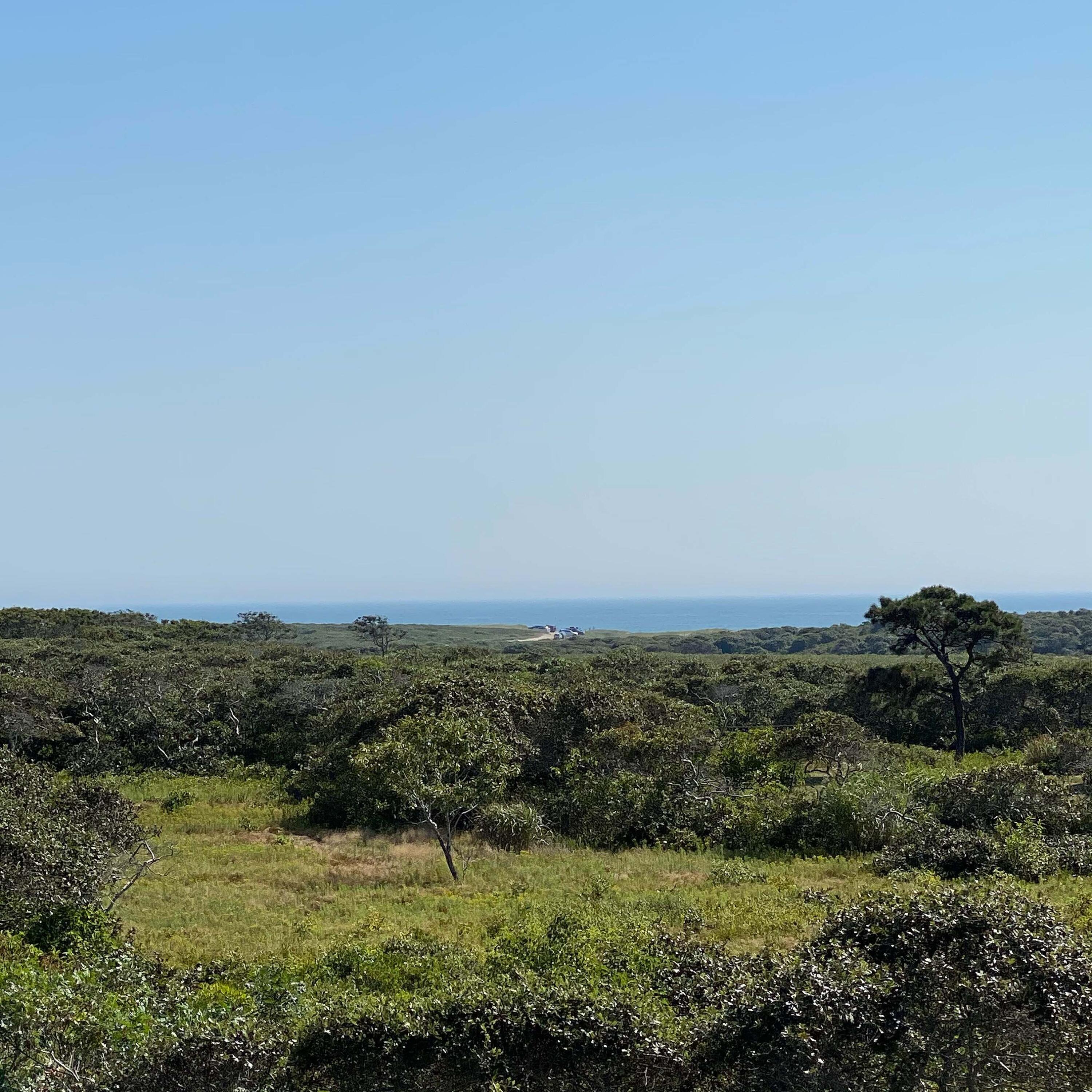 41 Wigwam Road Nantucket, MA 02554 - Photo 5 of 10 a view of ocean with green space