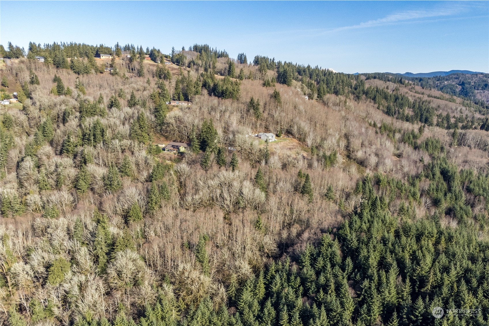 364 Badger Road Kelso, WA 98626 - Photo 5 of 10 Gallery Image 5