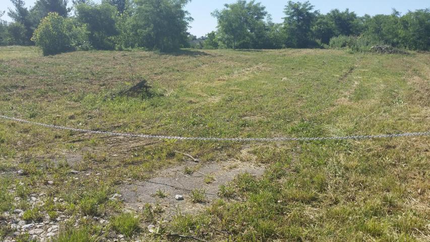 7045 Harriott Road Dublin, OH 43017 - Photo 6 of 11