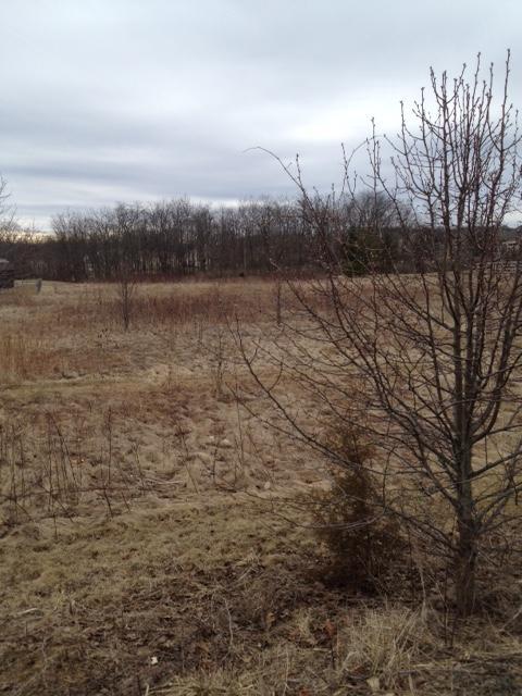 7045 Harriott Road Dublin, OH 43017 - Photo 9 of 11