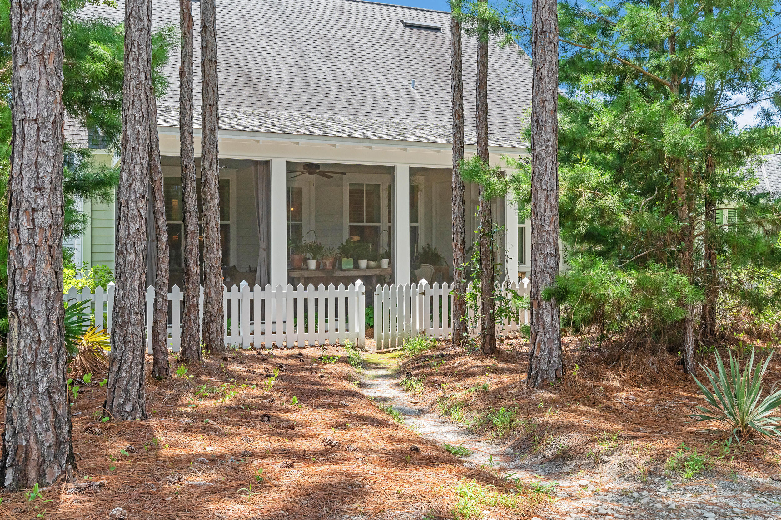76 Jack Knife Drive Inlet Beach, FL 32461 - Photo 34 of 43 a view of a house with a small yard and plants