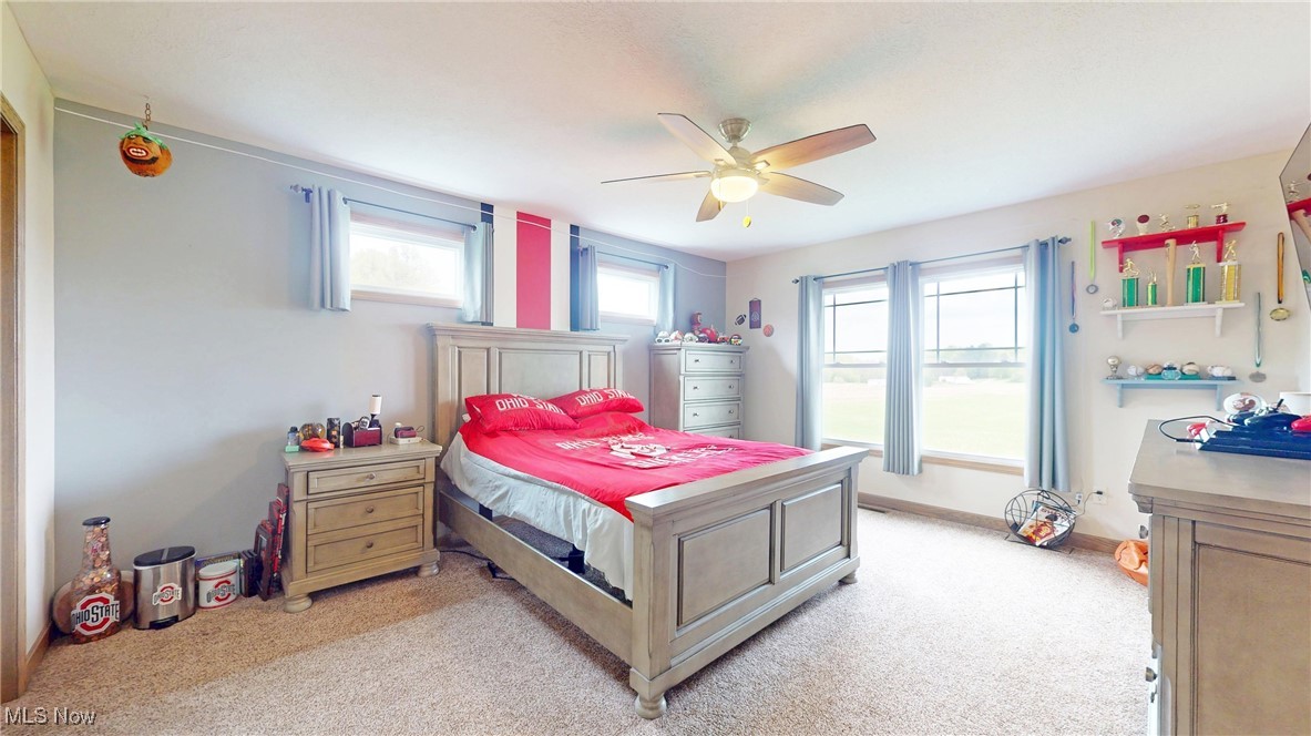 961 Industry Road Atwater, OH 44201 - Photo 20 of 50 Bedroom with light carpet and a ceiling fan