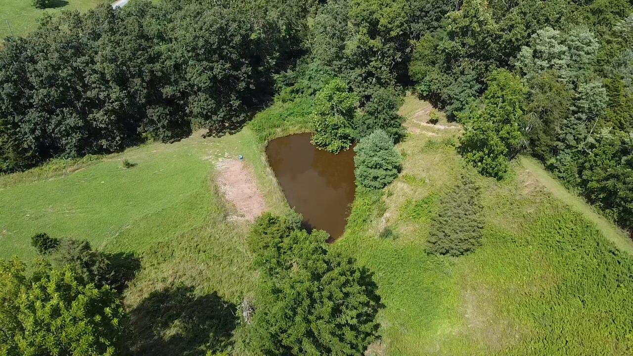 187 Charles Masters Road Ronceverte, WV 24970 - Photo 4 of 46 Gallery Image 4
