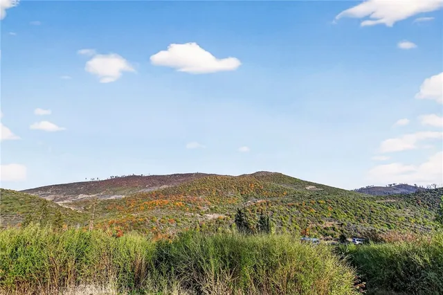 a view of a mountain range with lush green forest