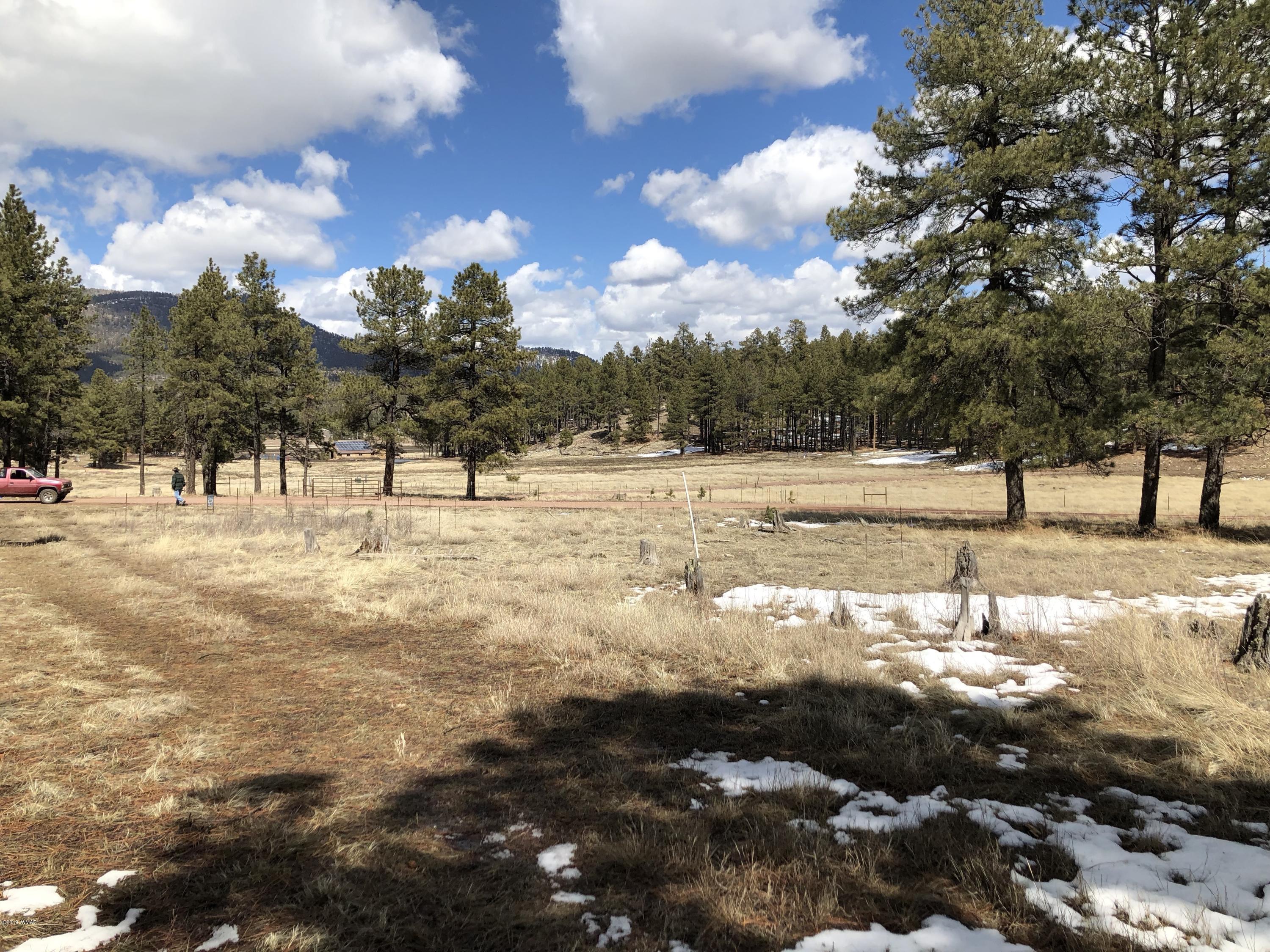 5 H Co Road Alpine, AZ 85920 - Photo 12 of 15