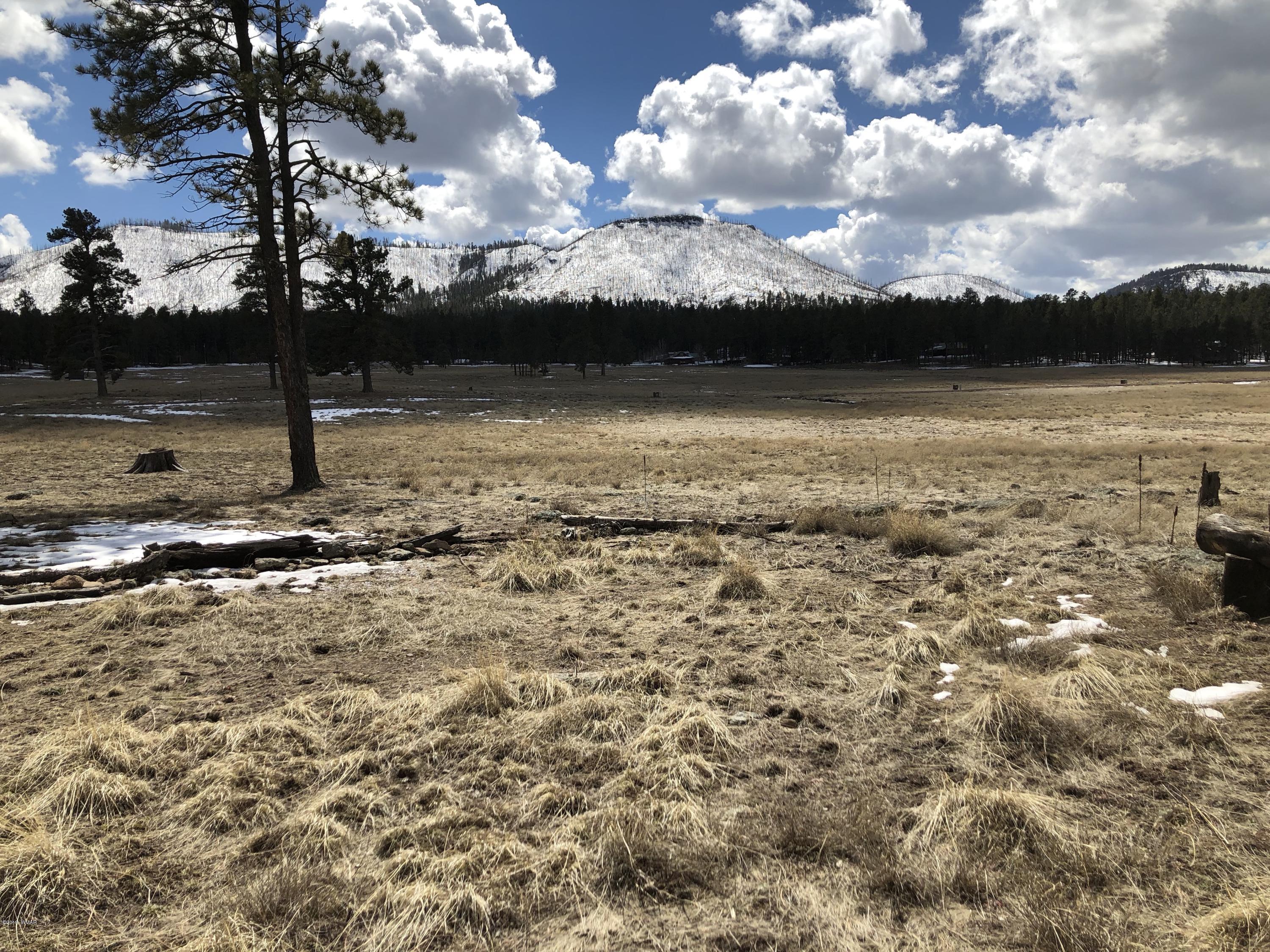 5 H Co Road Alpine, AZ 85920 - Photo 14 of 15