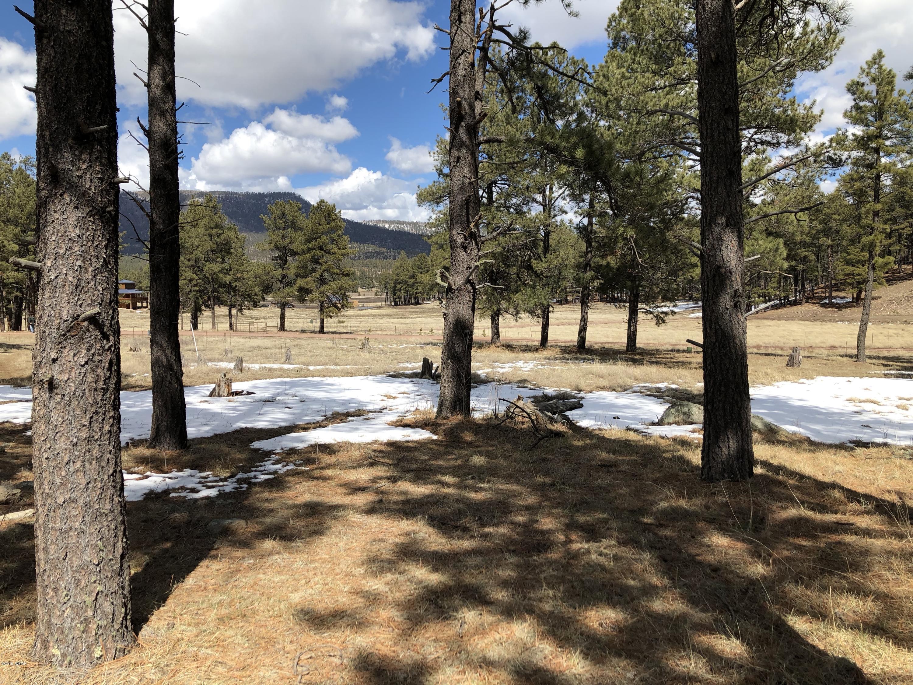 5 H Co Road Alpine, AZ 85920 - Photo 2 of 15