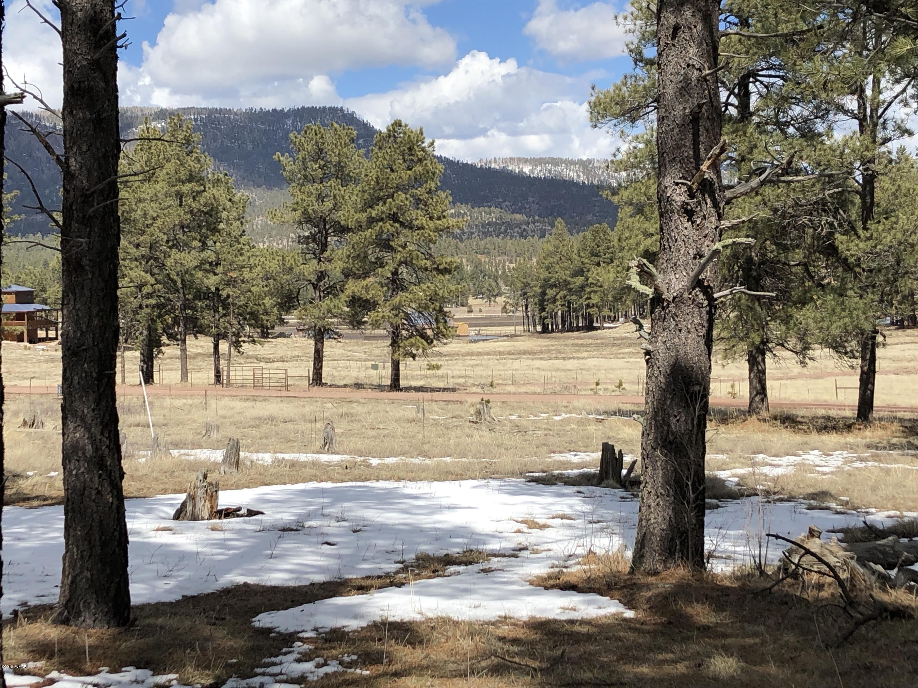 5 H Co Road Alpine, AZ 85920 - Photo 3 of 15
